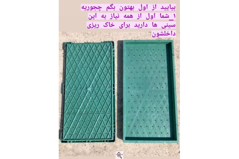خوراک دام تخم طلا در کوچصفهان گیلان