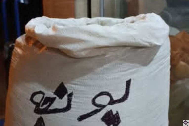 خوراک دام تخم طلا در کوچصفهان گیلان