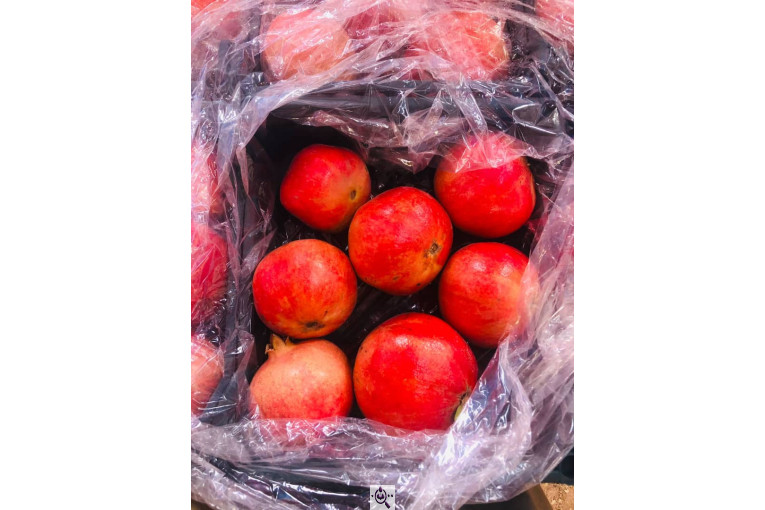 صادرات انواع میوه یوسف اسفندیاری در کاشمر