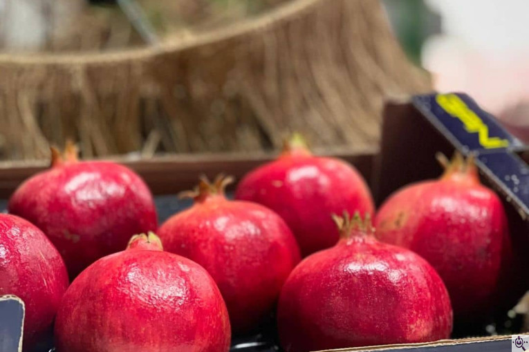 صادرات انواع میوه یوسف اسفندیاری در کاشمر