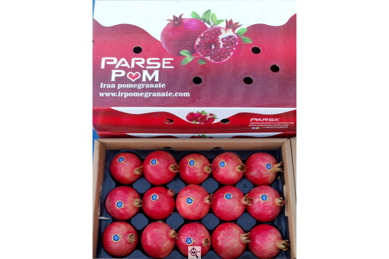 صادرات انواع میوه یوسف اسفندیاری در کاشمر