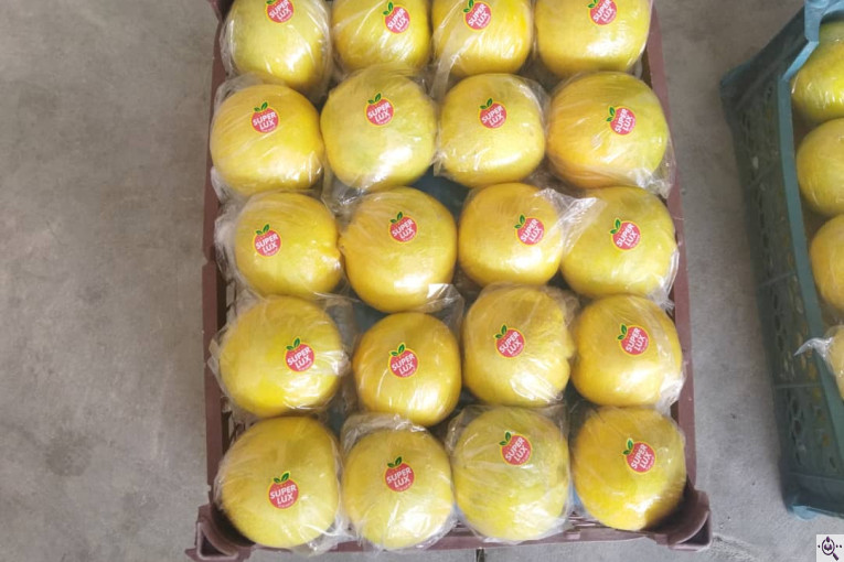 صادرات انواع میوه یوسف اسفندیاری در کاشمر