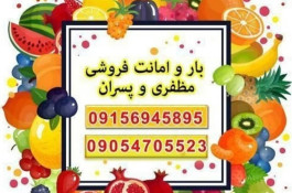 بار و امانت فروشی مظفری و پسران در کاشمر