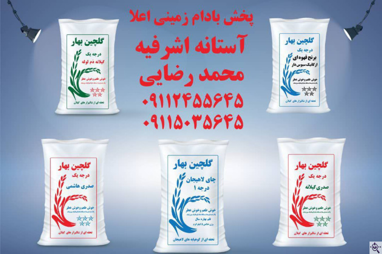 فروشگاه بزرگ برنج و چای و بادام گلچین بهار در آستانه اشرفیه