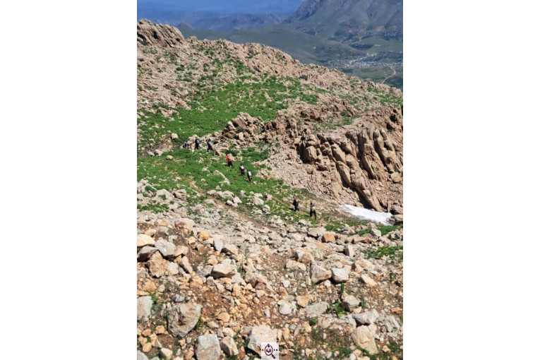 کاشت مو گلزادی در شیراز