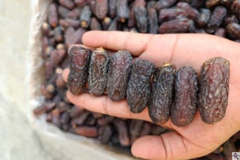 خرید و فروش و صادرات خرما پیارم حاجی آباد بندرعباس