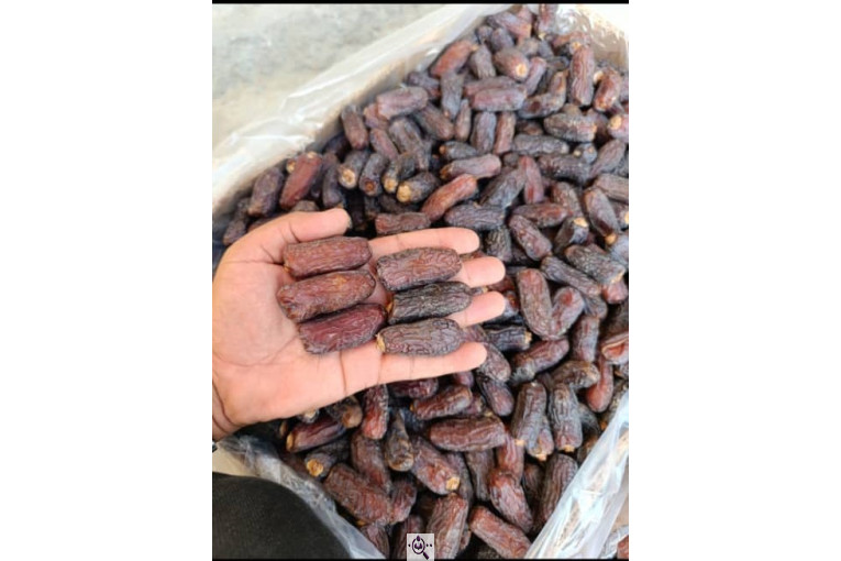 خرید و فروش و صادرات خرما پیارم حاجی آباد بندرعباس