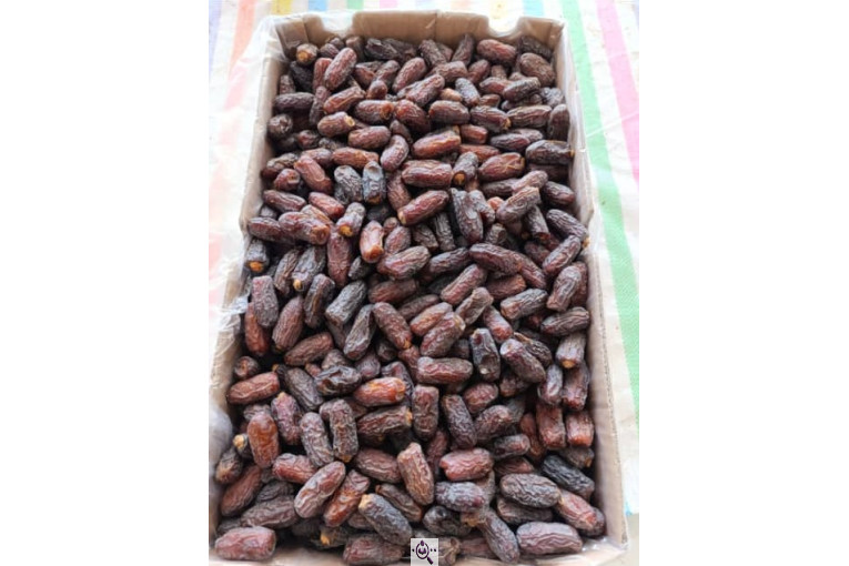 خرید و فروش و صادرات خرما پیارم حاجی آباد بندرعباس