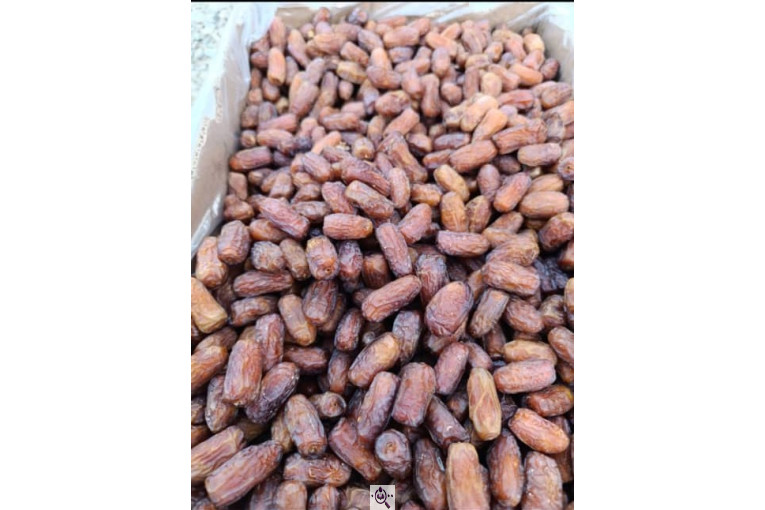 خرید و فروش و صادرات خرما پیارم حاجی آباد بندرعباس