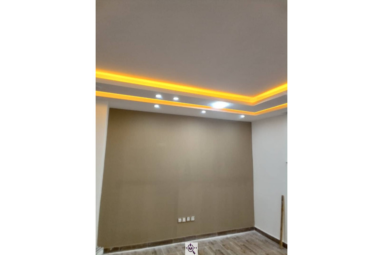 طراحی داخلی و نقاشی تخصصی ساختمان سیف زاده در رشت