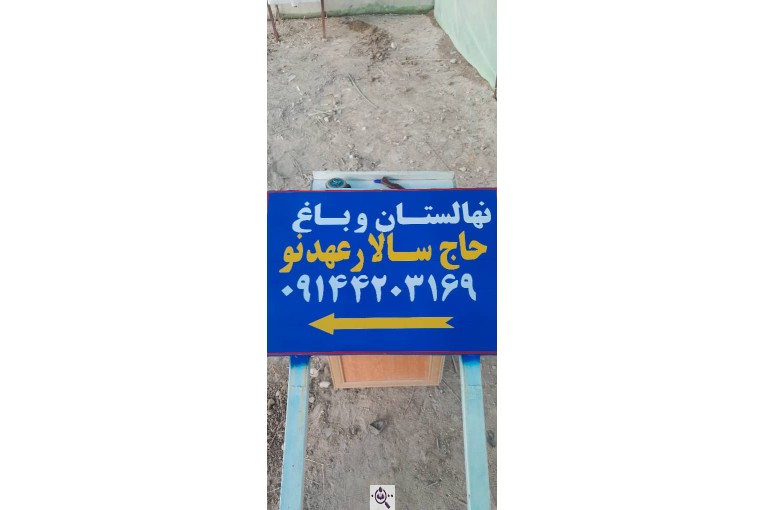 نهالستان سالار عهدنو در مراغه