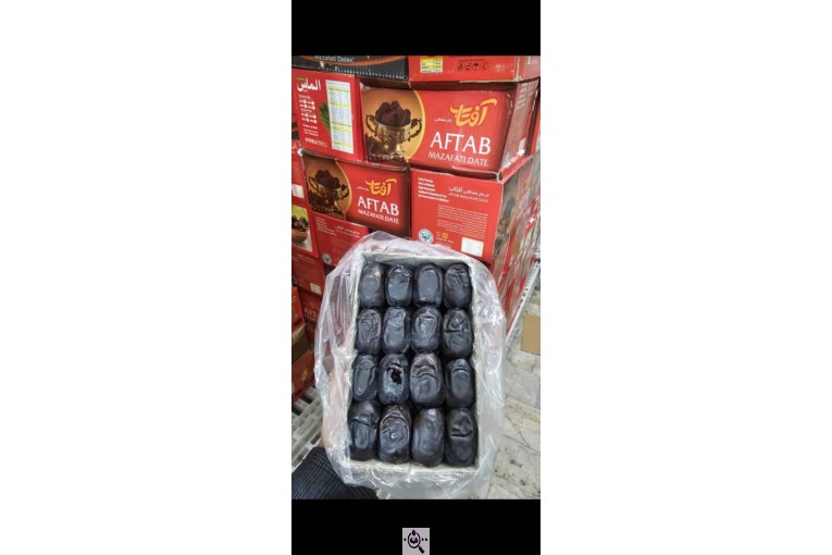 شرکت سردخانه خرما مضافتی رطب شاداب در سیستان و بلوچستان