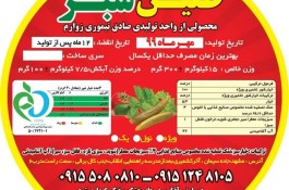 تولید و پخش خیارشور آرمیده و طنین سبز در مشهد