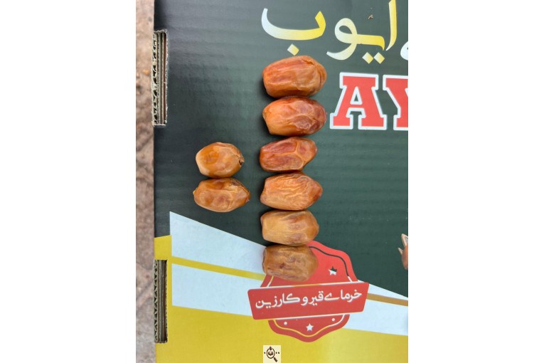 خرید و فروش خرما زاهدی ایوب در استان فارس