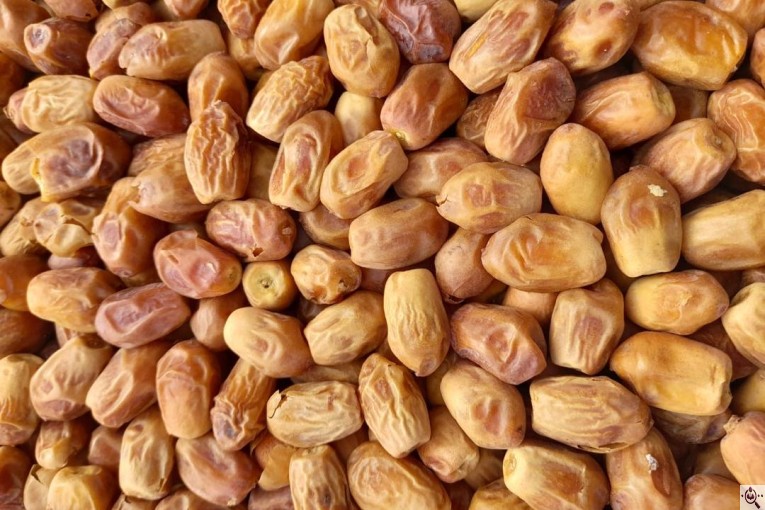 خرید و فروش خرما زاهدی ایوب در استان فارس