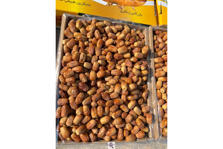 خرید و فروش خرما زاهدی ایوب در استان فارس