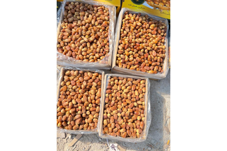 خرید و فروش خرما زاهدی ایوب در استان فارس