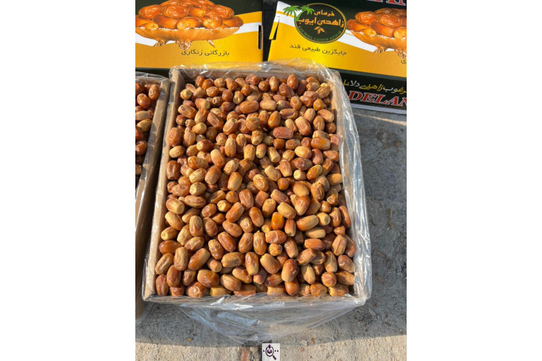 خرید و فروش خرما زاهدی ایوب در استان فارس