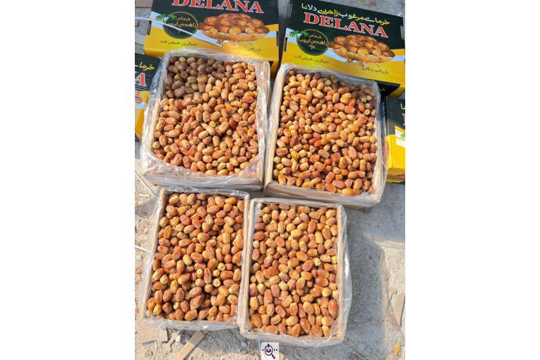 خرید و فروش خرما زاهدی ایوب در استان فارس