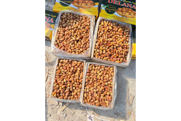 خرید و فروش خرما زاهدی ایوب در استان فارس