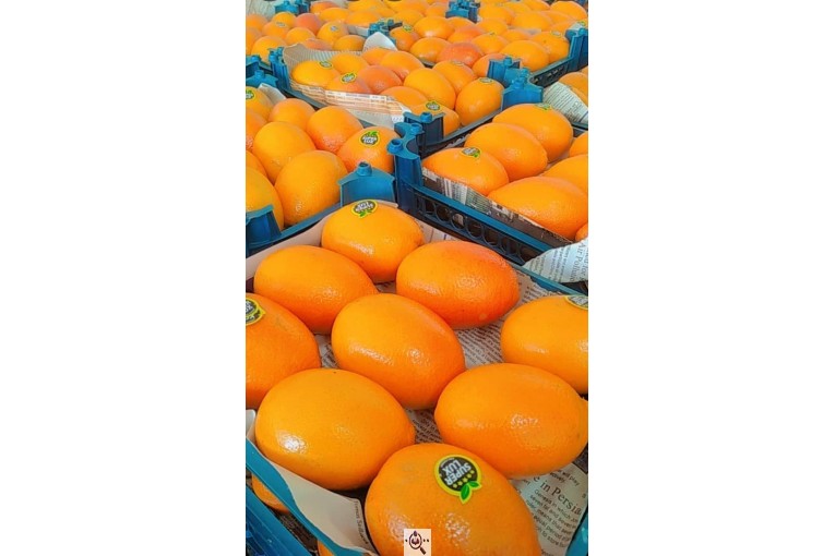 خرید و فروش محصولات کشاورزی مهدی زاده در قائمشهر