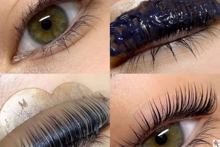 آکادمی مژه سارا نقوی در مشهد