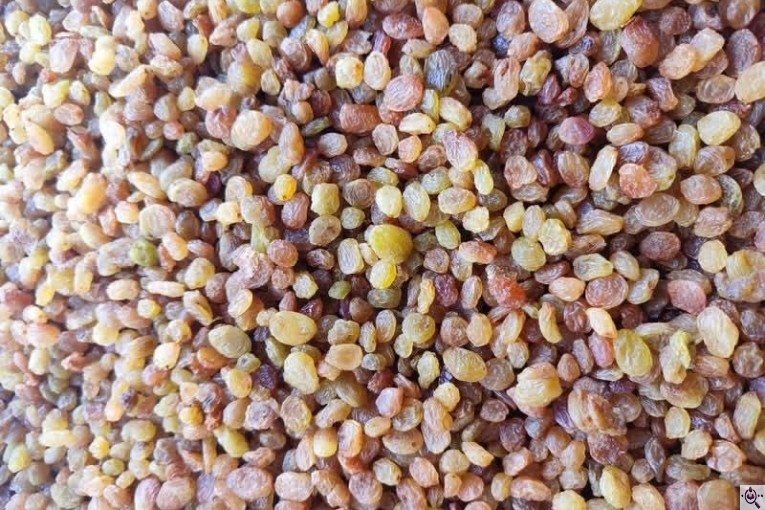 کشمش مرتضی در قزوین