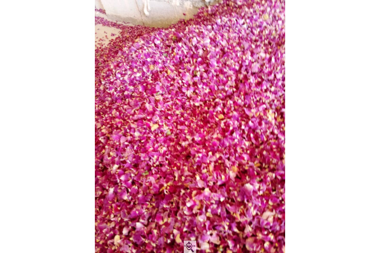 خشکبار امیر مهدی در آذرشهر