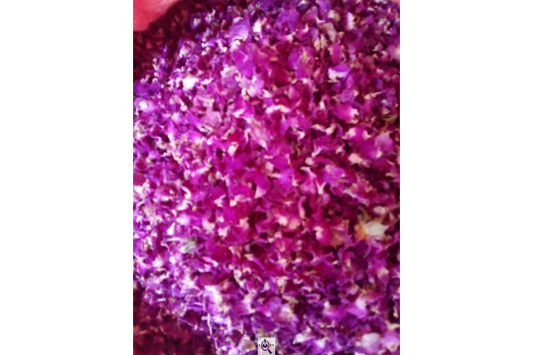 خشکبار امیر مهدی در آذرشهر