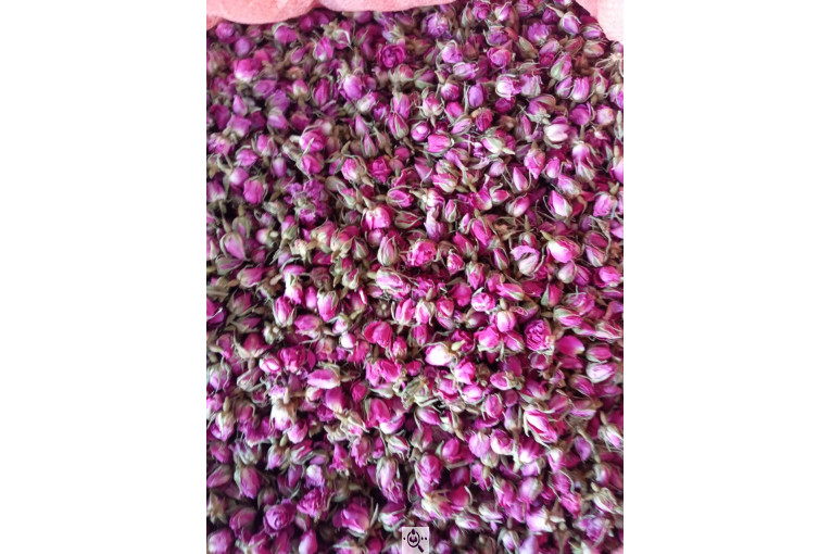 خشکبار امیر مهدی در آذرشهر