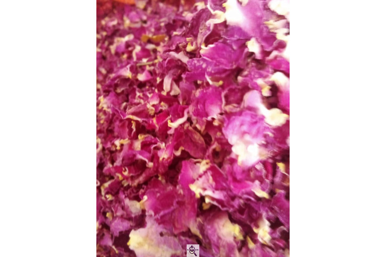 خشکبار امیر مهدی در آذرشهر