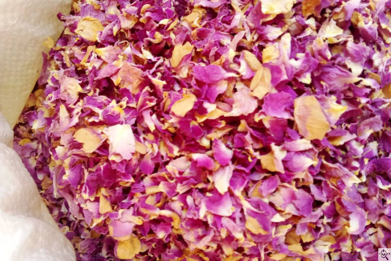 خشکبار امیر مهدی در آذرشهر