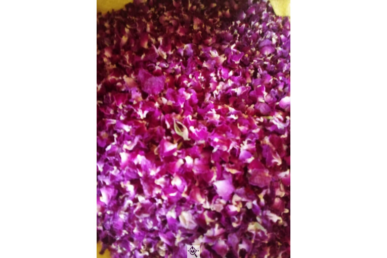 خشکبار امیر مهدی در آذرشهر