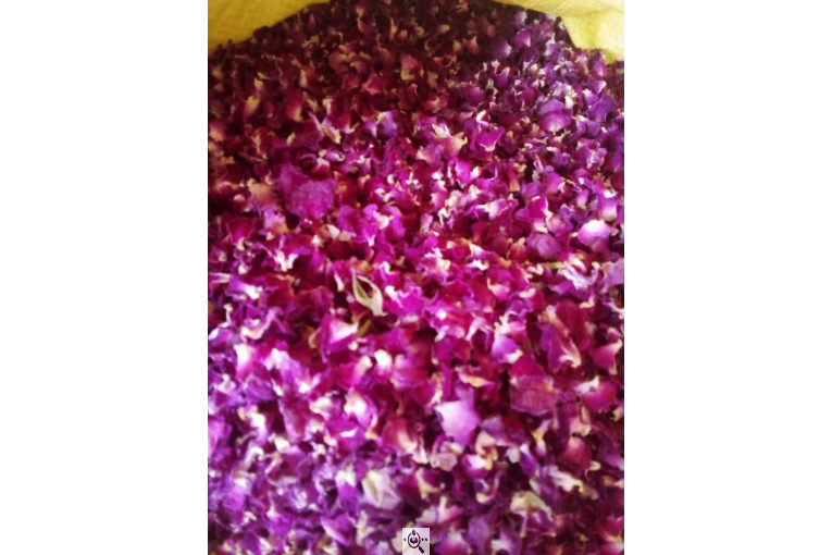 خشکبار امیر مهدی در آذرشهر