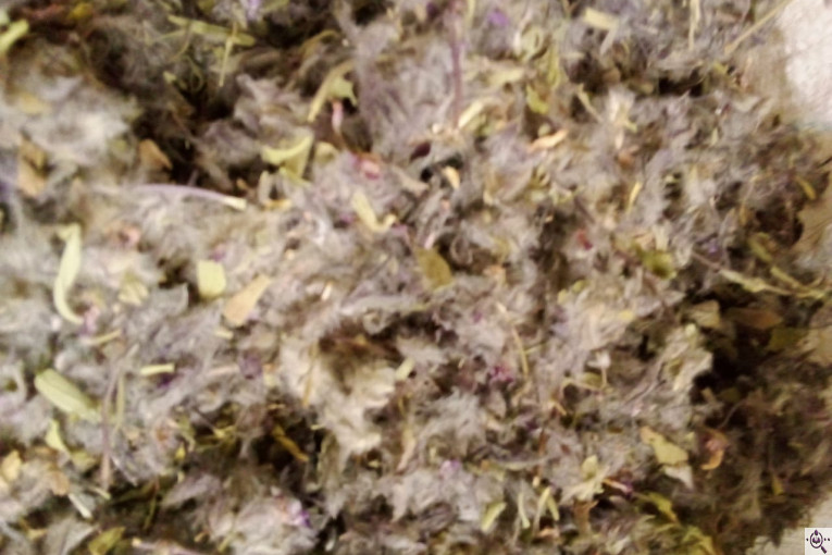 خشکبار امیر مهدی در آذرشهر