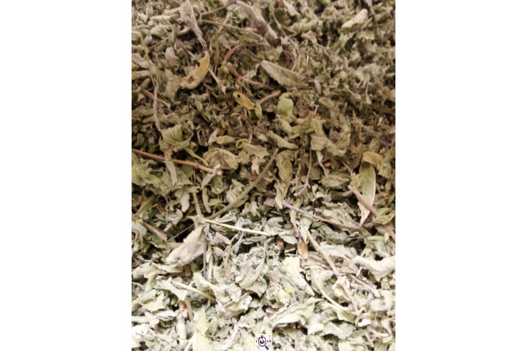 خشکبار امیر مهدی در آذرشهر