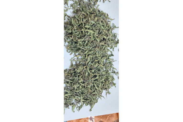 خشکبار امیر مهدی در آذرشهر