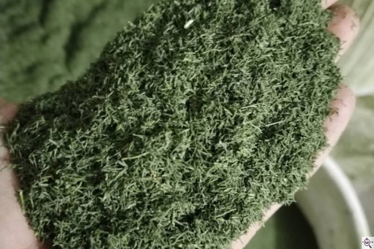 خشکبار امیر مهدی در آذرشهر