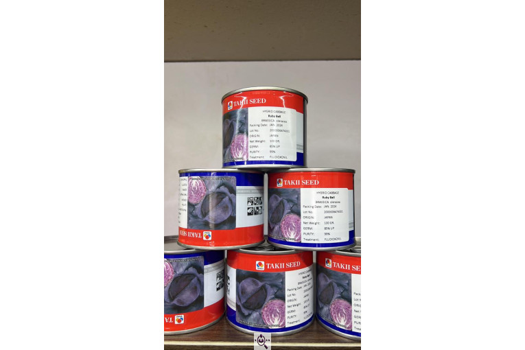 بازرگانی کشاورزی رشیدپور در دزفول