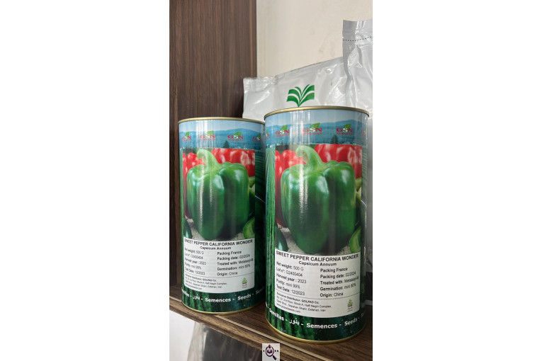 بازرگانی کشاورزی رشیدپور در دزفول