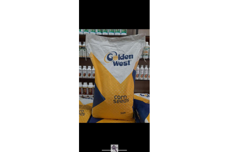 بازرگانی کشاورزی رشیدپور در دزفول