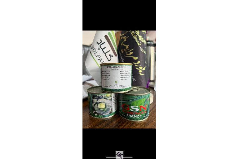 بازرگانی کشاورزی رشیدپور در دزفول