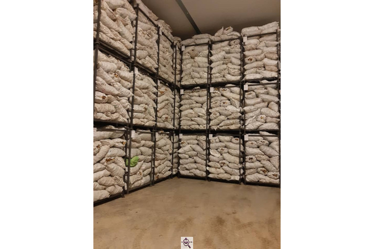 سردخانه آمونیاکی پنج هزار تنی عباسی در همدان