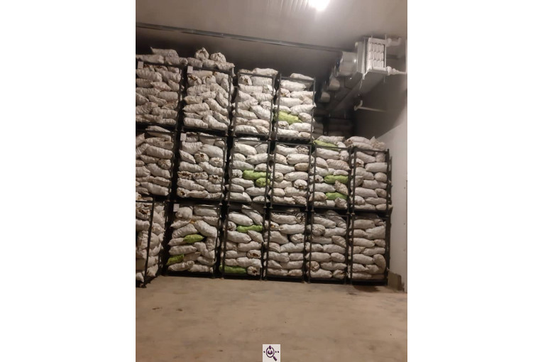 سردخانه آمونیاکی پنج هزار تنی عباسی در همدان