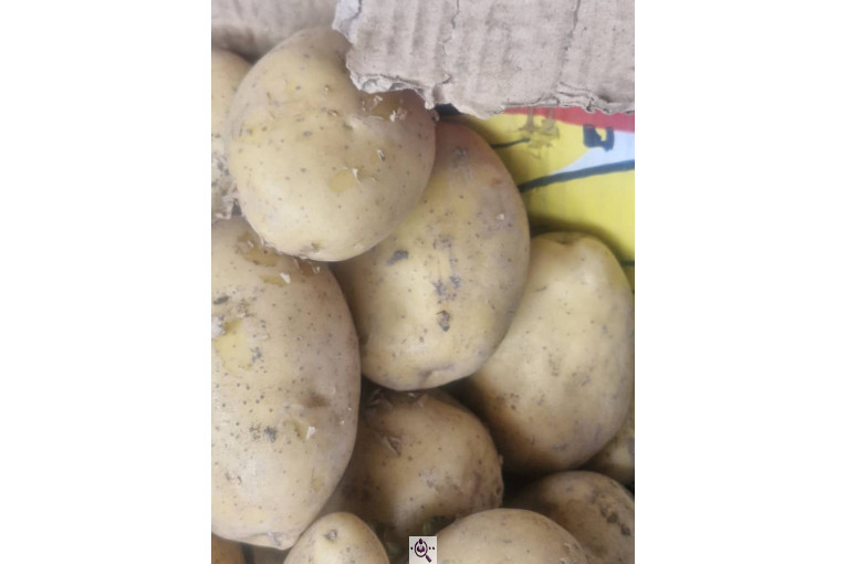 میوه و تره بار و صیفی جات دشتبان در بناب