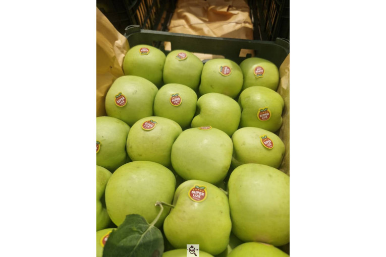 میوه و تره بار و صیفی جات دشتبان در بناب