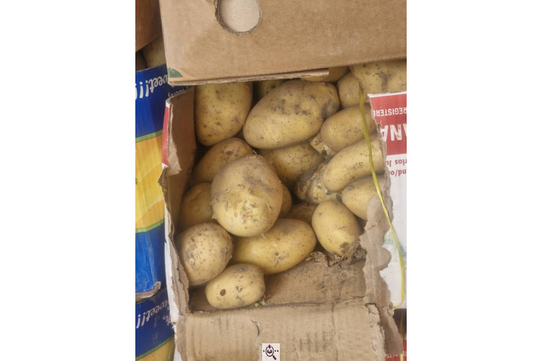 میوه و تره بار و صیفی جات دشتبان در بناب