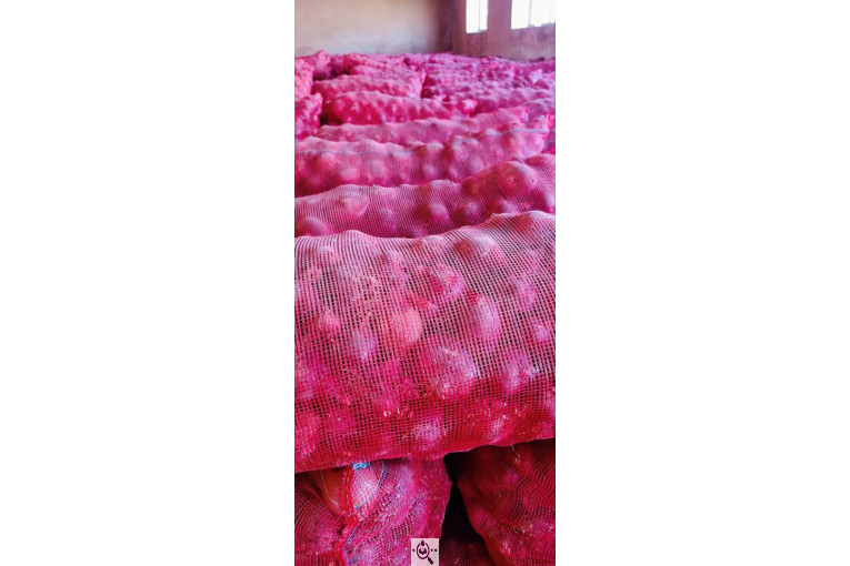 میوه و تره بار و صیفی جات دشتبان در بناب