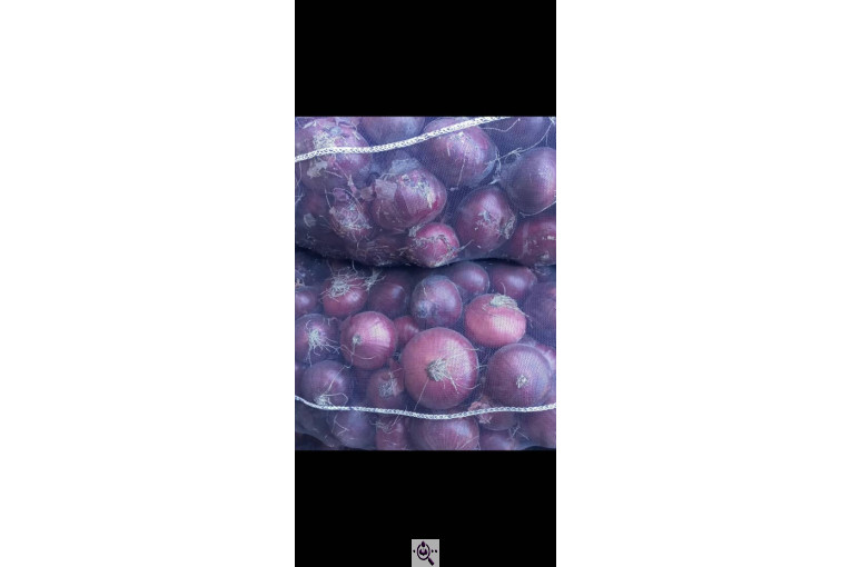 میوه و تره بار و صیفی جات دشتبان در بناب