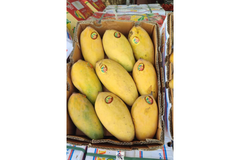 صادرات و تامین کننده میوه گرمسیری انبه گواوا پاپایا در چابهار